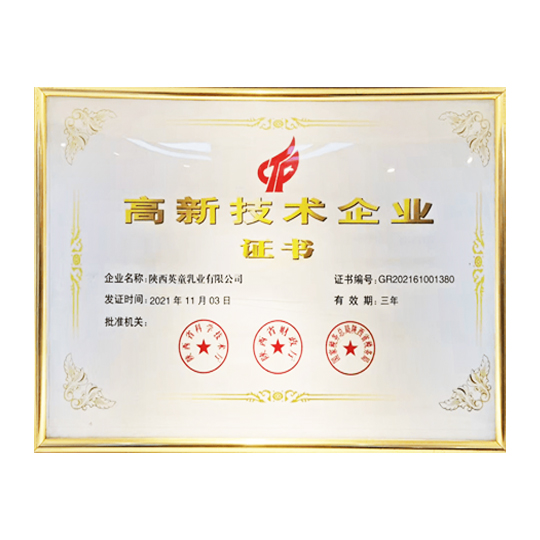 陜西英童——高新技術企業